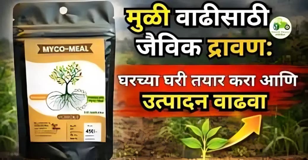 मुळी वाढीसाठी जैविक द्रावण: घरच्या घरी तयार करा आणि उत्पादन वाढवा
