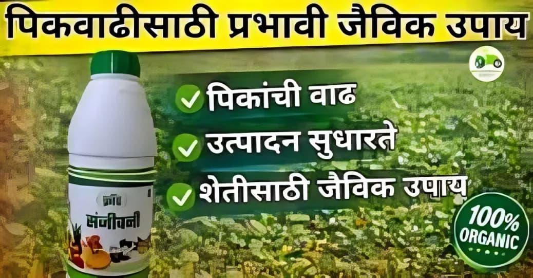 क्रॉप संजीवनी: पिकवाढीसाठी प्रभावी जैविक उपाय