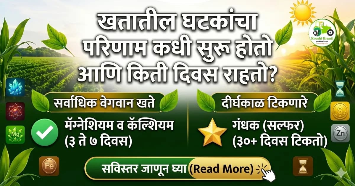 खतांचा परिणाम कधी सुरू होतो आणि तो किती काळ टिकतो? जाणून घ्या सविस्तर माहिती