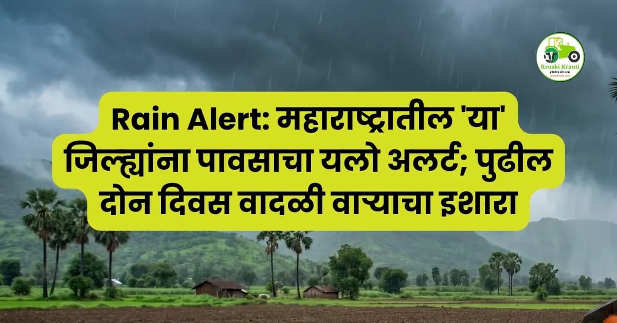 Rain Alert: महाराष्ट्रातील 'या' जिल्ह्यांना पावसाचा यलो अलर्ट; पुढील दोन दिवस वादळी वाऱ्याचा इशारा