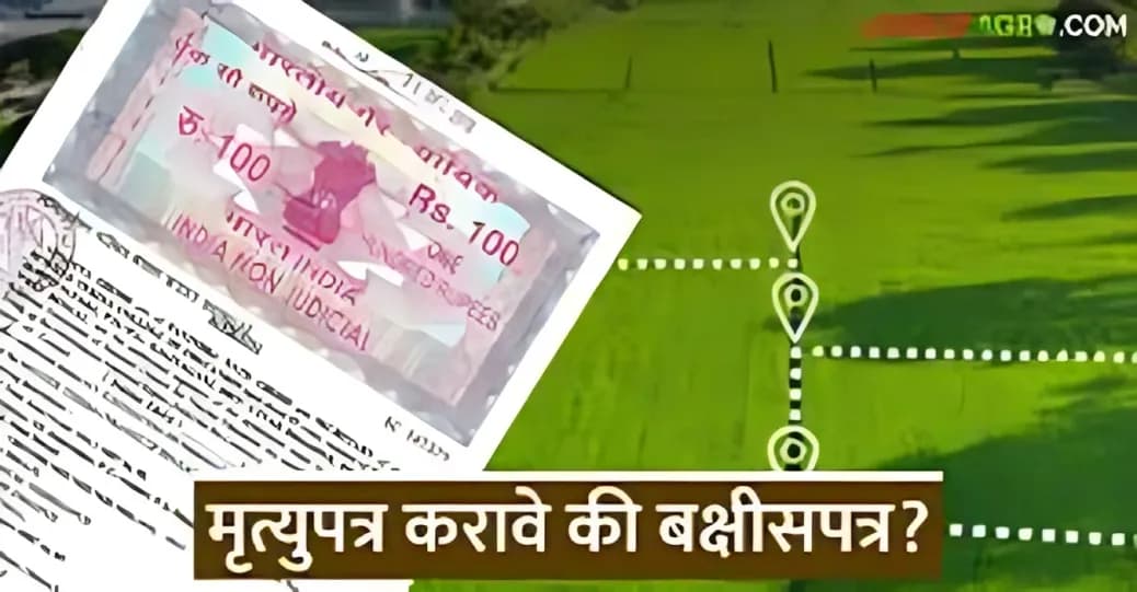 मृत्युपत्र करावे की बक्षीसपत्र; नक्की फायद्याचे काय? जाणून घ्या सविस्तर