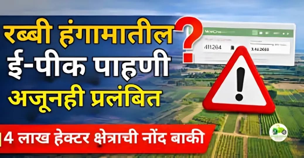 रब्बी हंगामातील ई-पीक पाहणी अजूनही प्रलंबित | 4 लाख हेक्टर क्षेत्राची नोंद बाकी