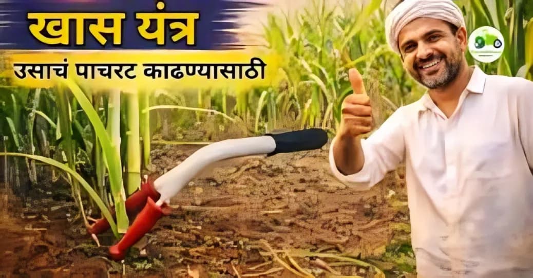 उसाचं पाचरट काढण्यासाठी खास यंत्र | ऊस शेतीसाठी सोपी व जलद पद्धत