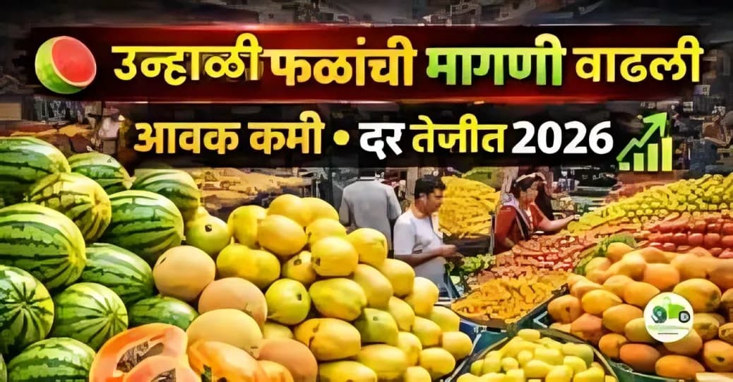उन्हाळी फळांची मागणी वाढली | आवक कमी, दर टिकून व तेजीत 2026