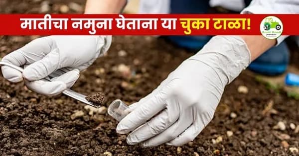 मातीचा नमुना घेताना या चुका टाळा! योग्य मृदा परीक्षणामुळेच वाढेल उत्पादन