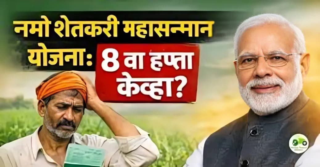 नमो शेतकरी महासन्मान योजना: राज्याचा 8 वा हप्ता केव्हा?