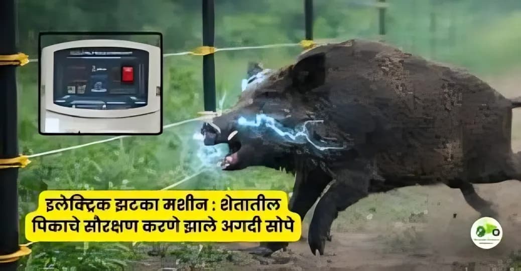 इलेक्ट्रिक झटका मशीन : शेतातील पिकाचे सौरक्षण करणे झाले अगदी सोपे