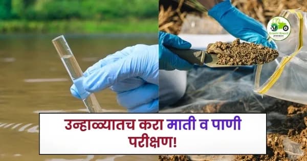 उन्हाळ्यातच करा माती व पाणी परीक्षण! खरीप हंगामासाठी शेतकऱ्यांसाठी महत्त्वाचा सल्ला