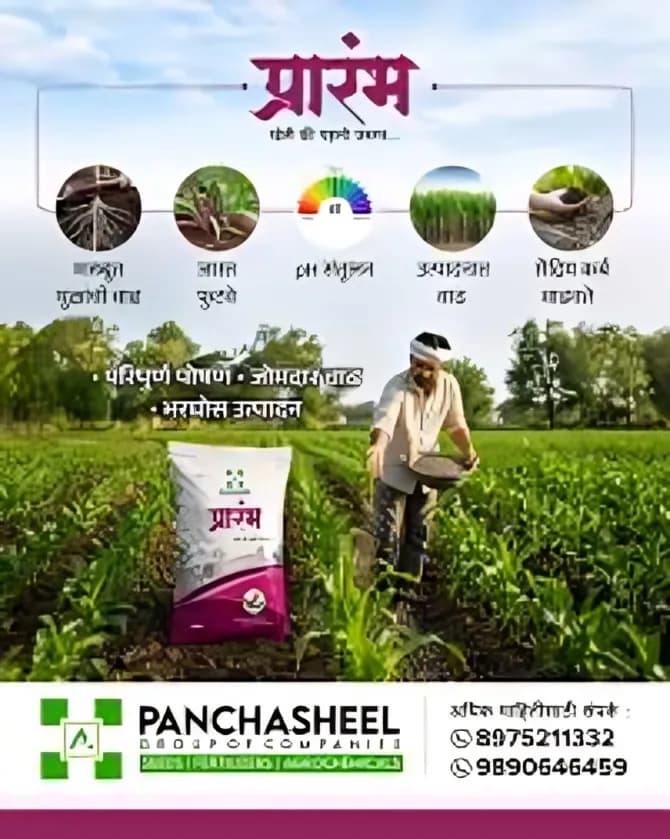 उन्हाळी भुईमूग बियाणे १००% अनुदानावर; शेतकऱ्यांसाठी मोठी संधी