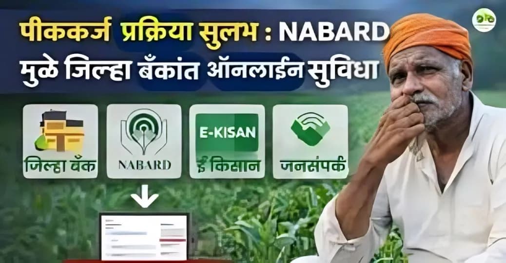 जिल्हा सहकारी बँकांतूनही मोफत ऑनलाईन पीककर्ज | NABARD चा मोठा निर्णय