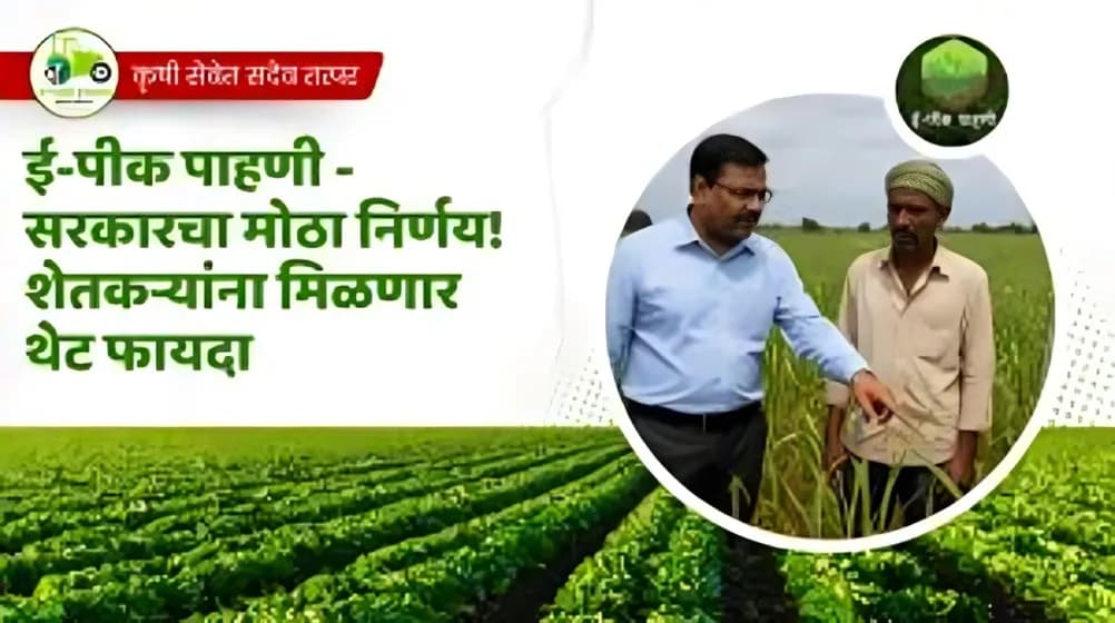 E Crop Survey Update : कोण कोणत्या जिल्ह्यांनी सर्वात जास्त ई-पीक पाहणी पूर्ण केली व त्यांचे काय फायदे त्यांना झाले