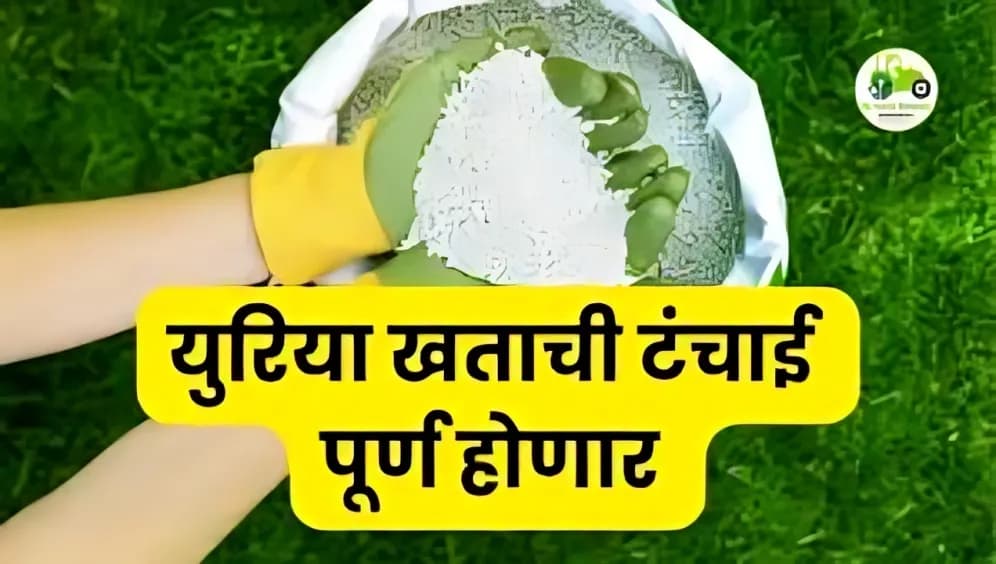 खत पुरवठ्याला गती; युरिया व 10:26:26 ची टंचाई मोठ्या प्रमाणात दूर