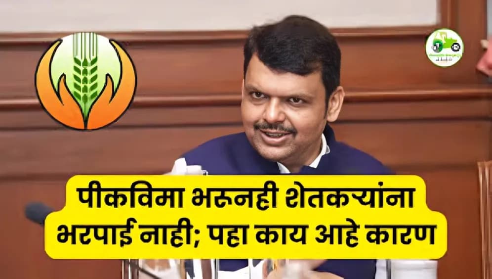 पीकविमा भरूनही शेतकऱ्यांना भरपाई नाही; निकष बदलाचा मोठा फटका