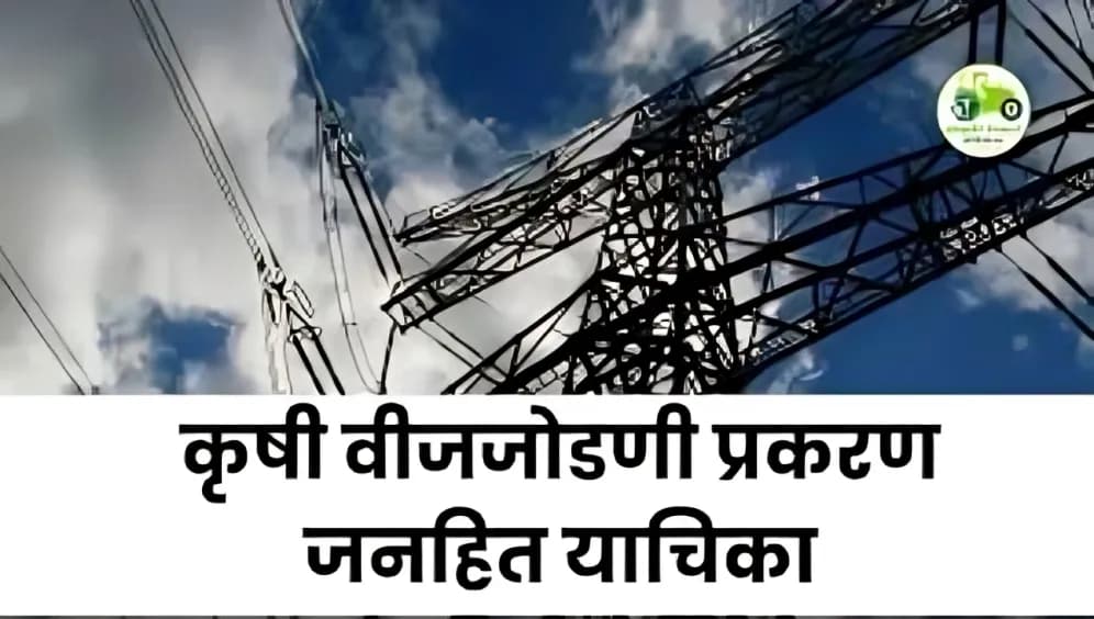 महावितरणला उच्च न्यायालयाची फटकार | कृषी वीजजोडणी प्रकरण जनहित याचिका