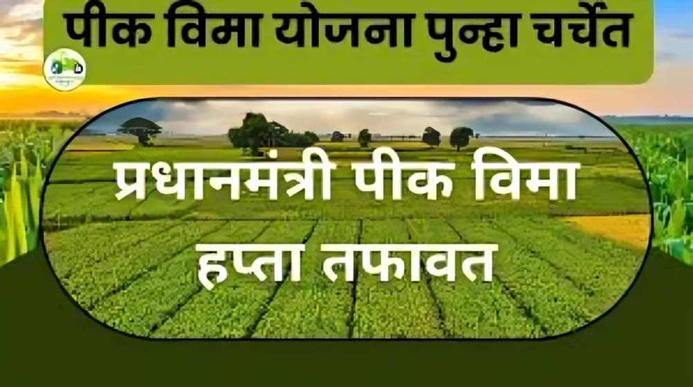 प्रधानमंत्री पीक विमा हप्ता तफावत: एकाच पिकाला वेगवेगळे हप्ते का?