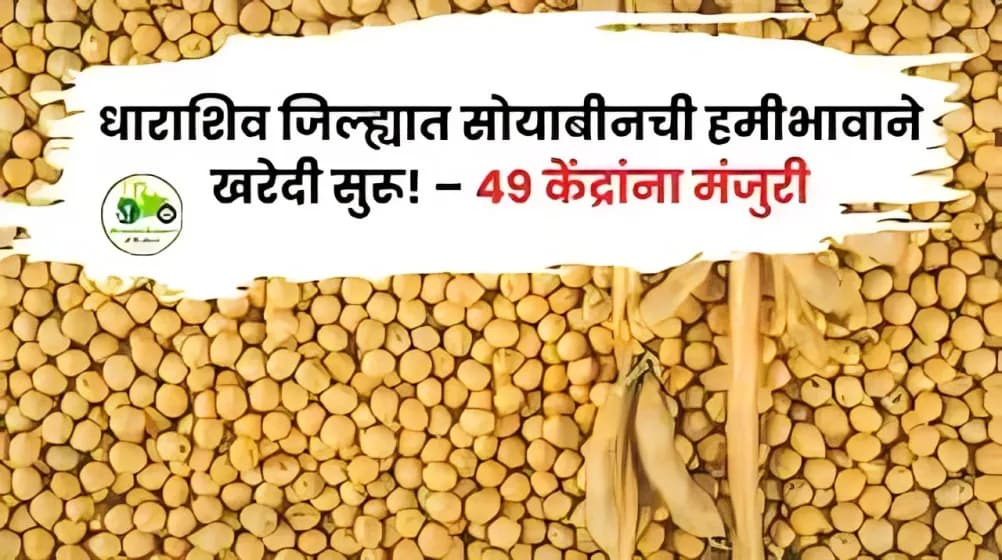 सोयाबीन उत्पादक शेतकऱ्यांना दिलासा – धाराशिवमध्ये ४९ केंद्रांवर हमीभावाने खरेदी