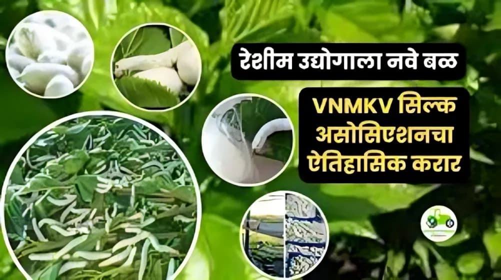 रेशीम व्यवसायात क्रांती? मराठवाड्यात “सिल्क पार्क–सेरीकल्चर स्कूल” संकल्पना वेगाने
