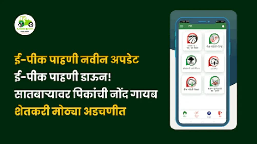 E-Crop Survey समस्यांचा भडका: सातबाऱ्यावर पिकांची नोंद गायब, शेतकरी त्रस्त