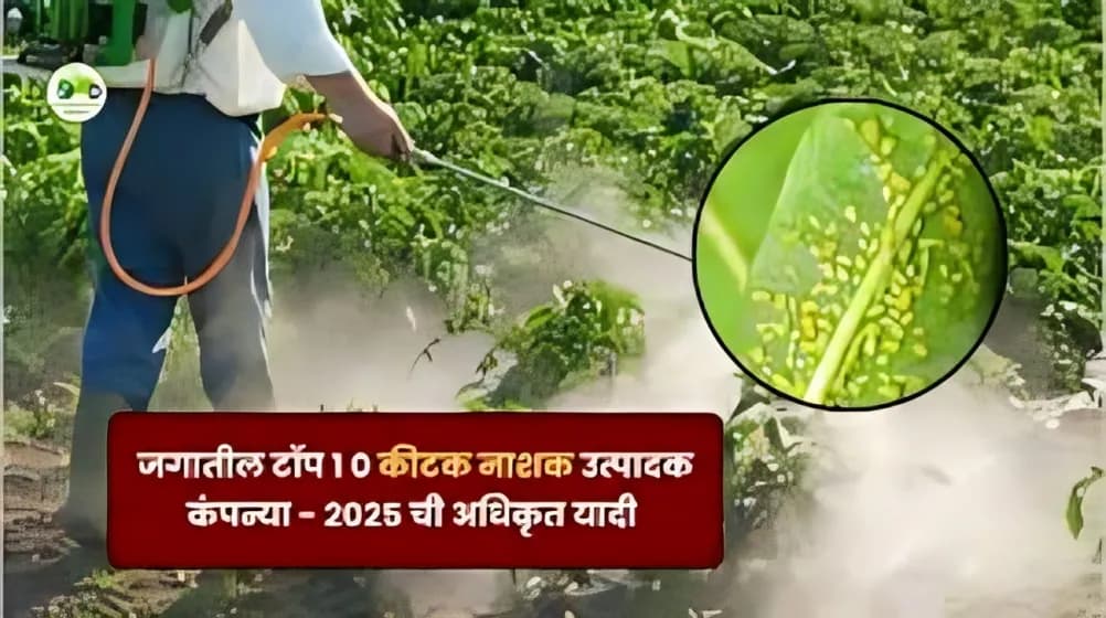 जगातील टॉप 10 कीटकनाशक उत्पादक कंपन्या – 2025 ची संपूर्ण यादी
