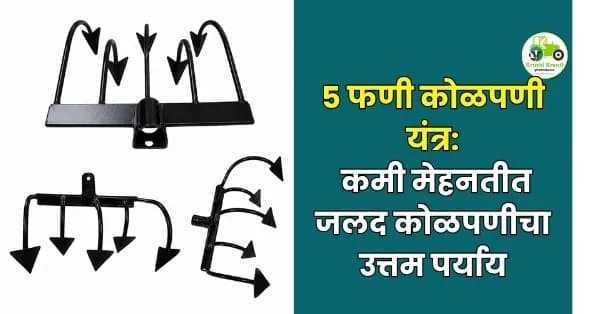 5 फणी कोळपणी यंत्रामुळे शेतीकाम झाले सोपे! कमी मेहनतीत जलद कोळपणीचा उत्तम पर्याय