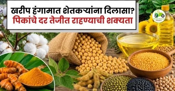 खरीप हंगामात शेतकऱ्यांना दिलासा? ‘एल निनो’ आणि रुपयाच्या घसरणीमुळे पिकांचे दर तेजीत राहण्याची शक्यता