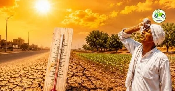 महाराष्ट्रात उन्हाचा कडाका: विदर्भात 'रेड अलर्ट' आणि उष्णतेच्या लाटेचे सावट