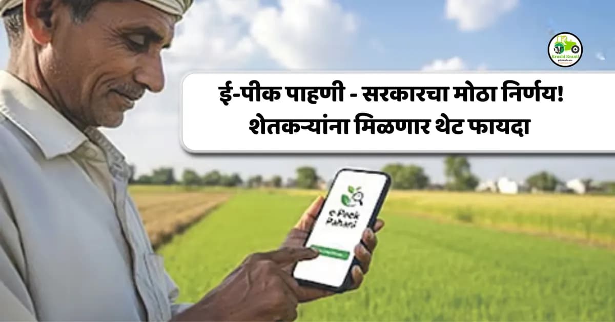E - Peek Pahani : ई-पीक पाहणी - सरकारचा मोठा निर्णय! शेतकऱ्यांना मिळणार थेट फायदा