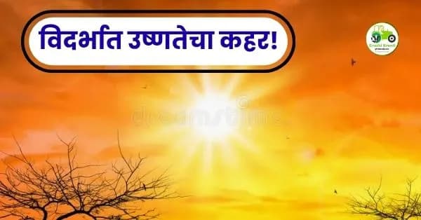 विदर्भात उष्णतेचा कहर! अकोला, अमरावती आणि वर्धा जिल्ह्यांना ‘रेड अलर्ट’