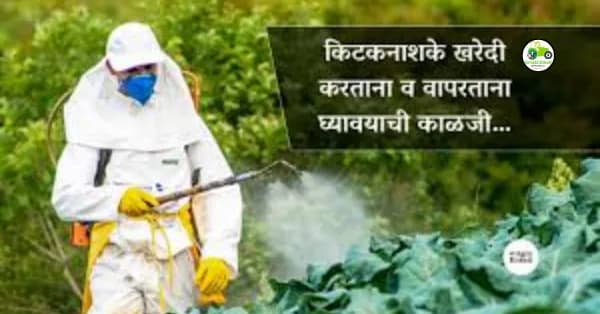कीटकनाशके खरेदी करताना व वापरताना घ्यावयाची काळजी