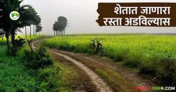 शेतातला रस्ता अडला किंवा नाहीच? फक्त एका अर्जाने मिळवा मार्ग...!