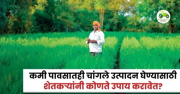 कमी पावसातही चांगले उत्पादन घेण्यासाठी शेतकऱ्यांनी कोणते उपाय करावेत?