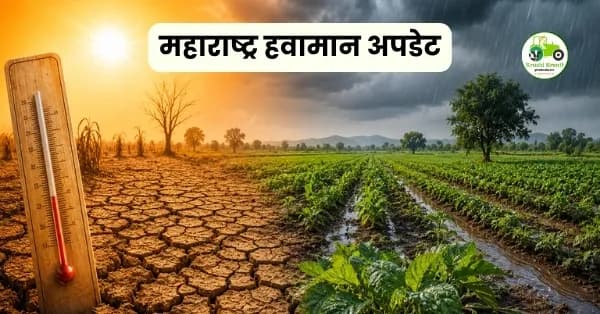 महाराष्ट्र हवामान अपडेट: उष्णतेची लाट, पावसाचे आगमन आणि शेतीविषयक खबरदारी