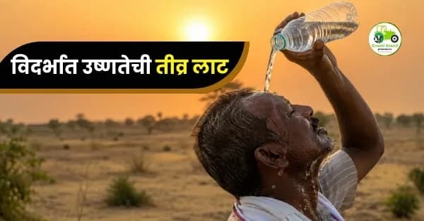 विदर्भात उष्णतेची तीव्र लाट; अनेक जिल्ह्यांना रेड, ऑरेंज आणि येलो अलर्ट