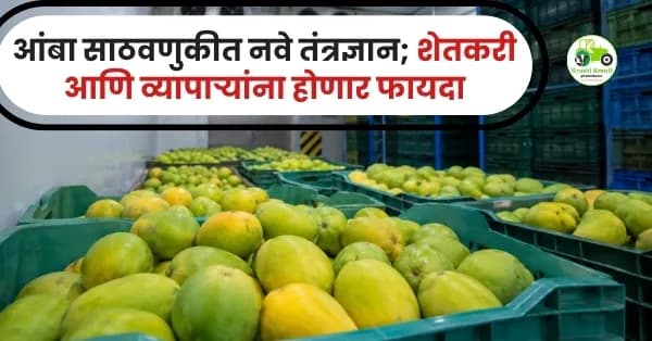आंबा साठवणुकीत नवे तंत्रज्ञान; शेतकरी आणि व्यापाऱ्यांना होणार फायदा