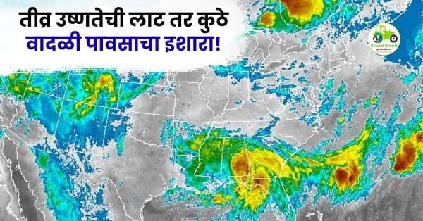 महाराष्ट्रात हवामानाचा दुहेरी मारा: कुठे तीव्र उष्णतेची लाट तर कुठे वादळी पावसाचा इशारा!