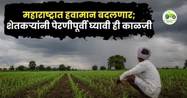 मान्सूनची चाहूल! महाराष्ट्रात हवामान बदलणार; शेतकऱ्यांनी पेरणीपूर्वी घ्यावी ही काळजी