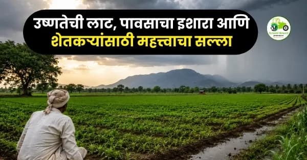 महाराष्ट्र हवामान विशेष: उष्णतेची लाट, पावसाचा इशारा आणि शेतकऱ्यांसाठी महत्त्वाचा सल्ला