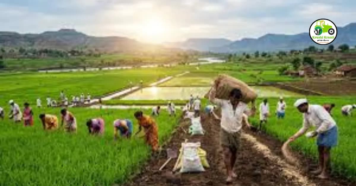 महाराष्ट्रात केंद्राचा कृषी योजनांसाठी कोटींचा ऐतिहासिक निधी मंजूर, पहा काय आहे सविस्तर बातमी...!