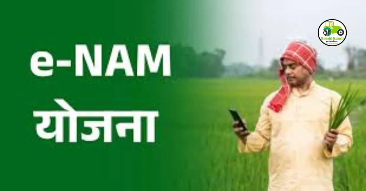 शेतकऱ्यांसाठी आनंदाची बातमी! e-NAM योजनेमुळे थेट बाजारपेठेत विक्रीची संधी…
