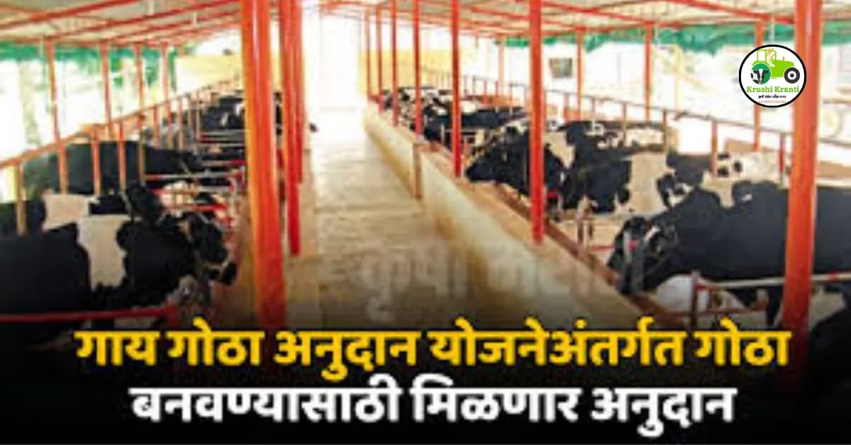गाय गोठा अनुदान योजनेसाठी! अर्ज प्रक्रिया आणि पात्रता जाणून घ्या…