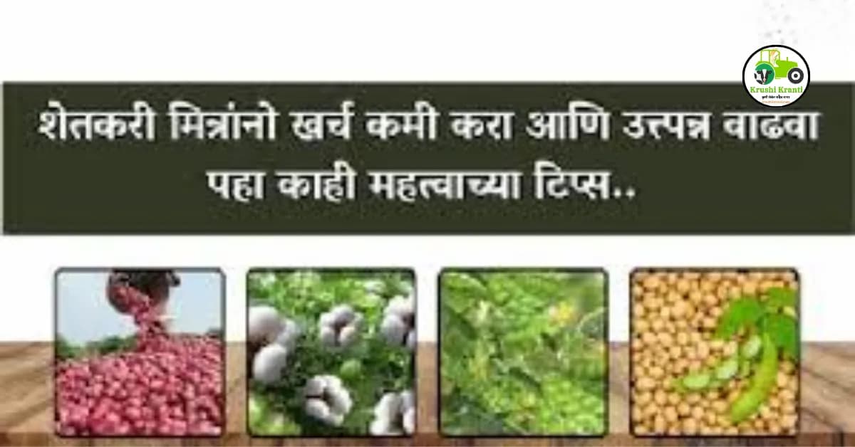 या टिप्स मुळे, उत्पन्न वाढेल आणि खर्च कमी होईल