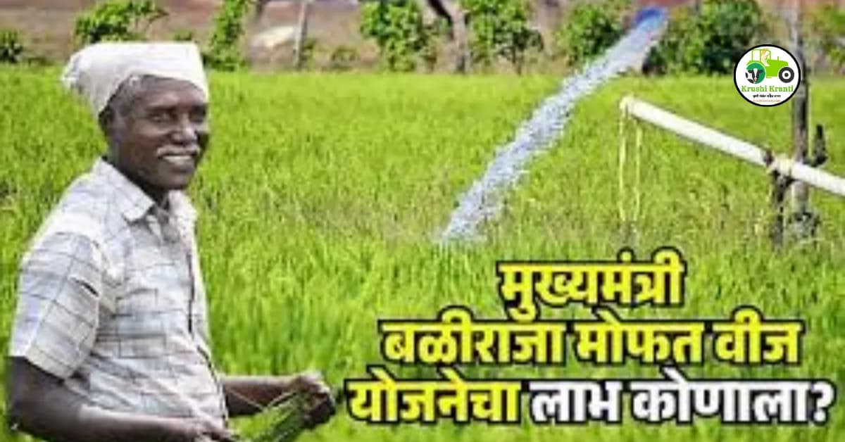 मुख्यमंत्री बळीराजा मोफत वीज योजना, जाणून घ्या महत्त्वाच्या अपडेट्स..?