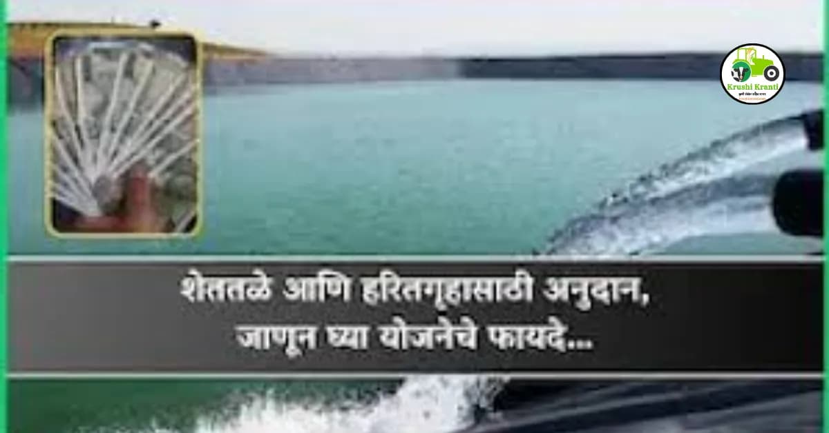 शेततळे आणि हरितगृहासाठी अनुदान, जाणून घ्या योजनेचे फायदे…