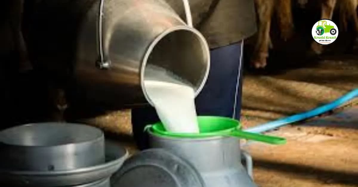 दूध उत्पादकांसाठी राज्य शासनाचा मोठा निर्णय, पहा काय आहे अपडेट..!