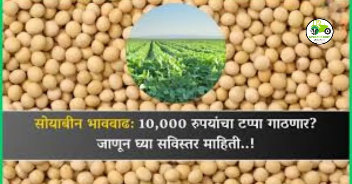 पशुधनाचा सांभाळ महागडा, दुधाचे दर मात्र स्थिर का?
