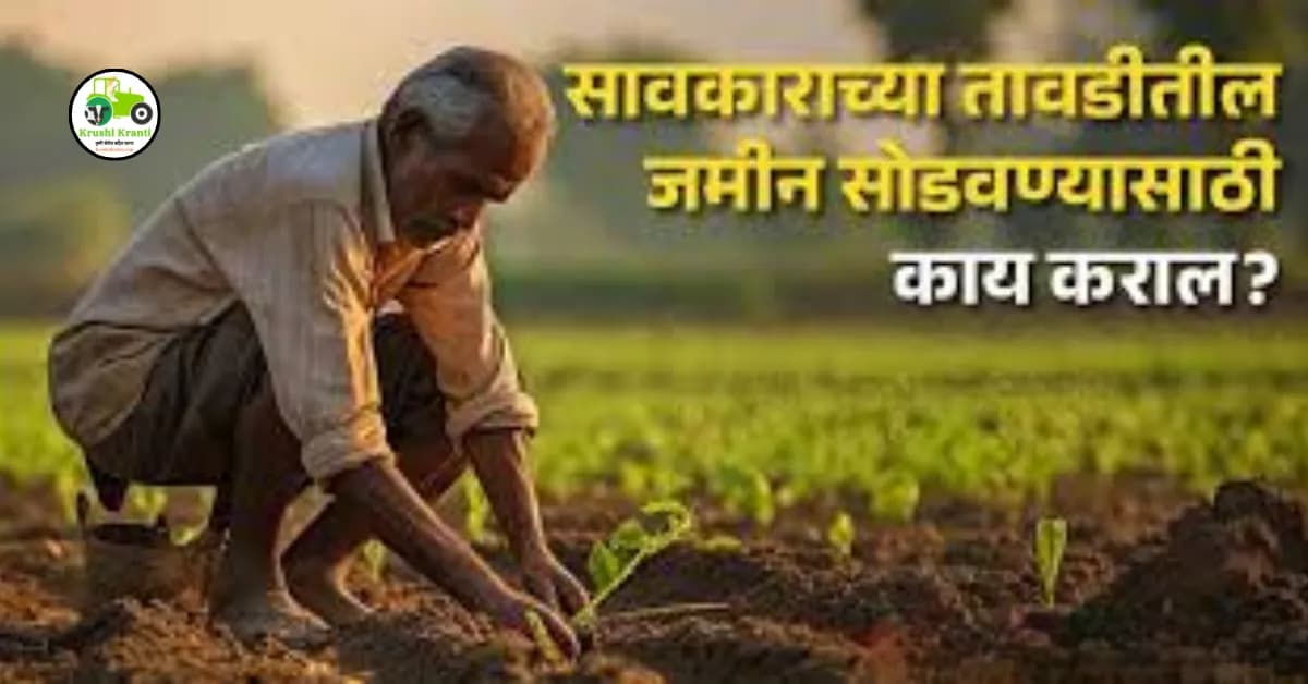Land : सावकाराच्या तावडीतील जमीन सोडवण्यासाठी काय कराल?