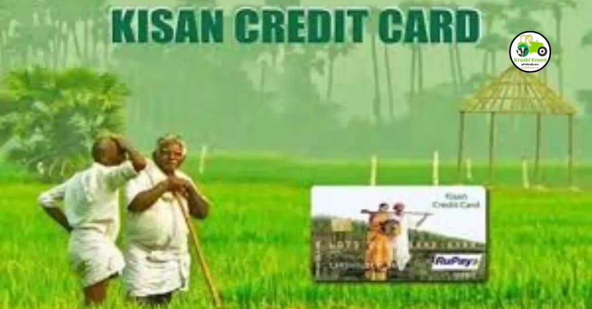 kisan credit card : घरबसल्या मिळवा किसान क्रेडिट कार्ड जाणून घ्या सोपा मार्ग !