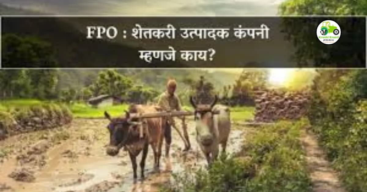 Farmer producer company : शेतकरी उत्पादक कंपनी म्हणजे काय?