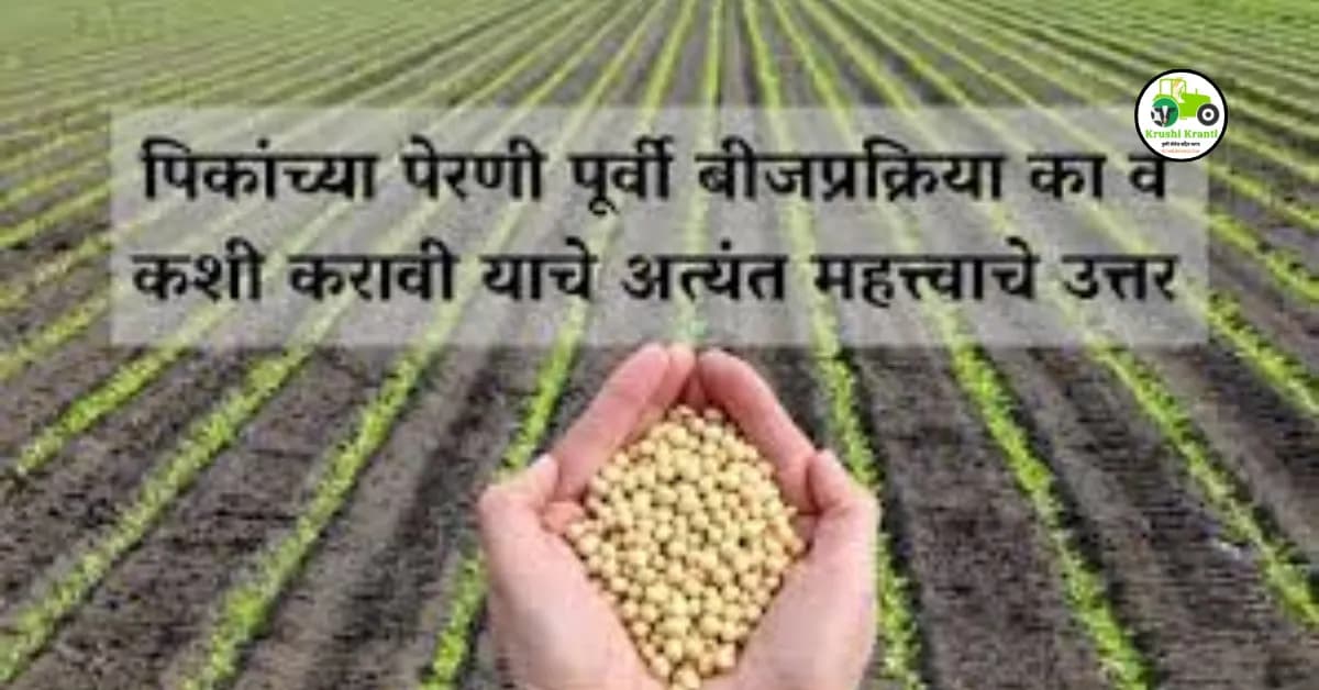 पिकांच्या पेरणी पूर्वी बीजप्रक्रिया का व कशी करावी याचे अत्यंत महत्त्वाचे उत्तर