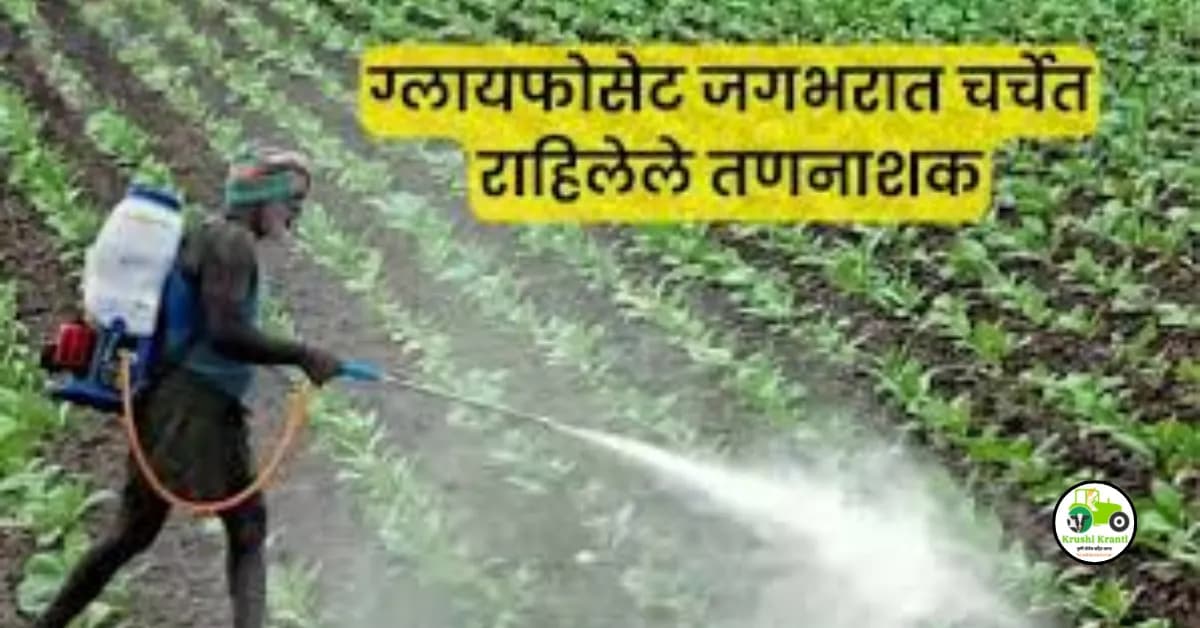 Glyphosate : ग्लायफोसेट जगभरात चर्चेत राहिलेले तणनाशक